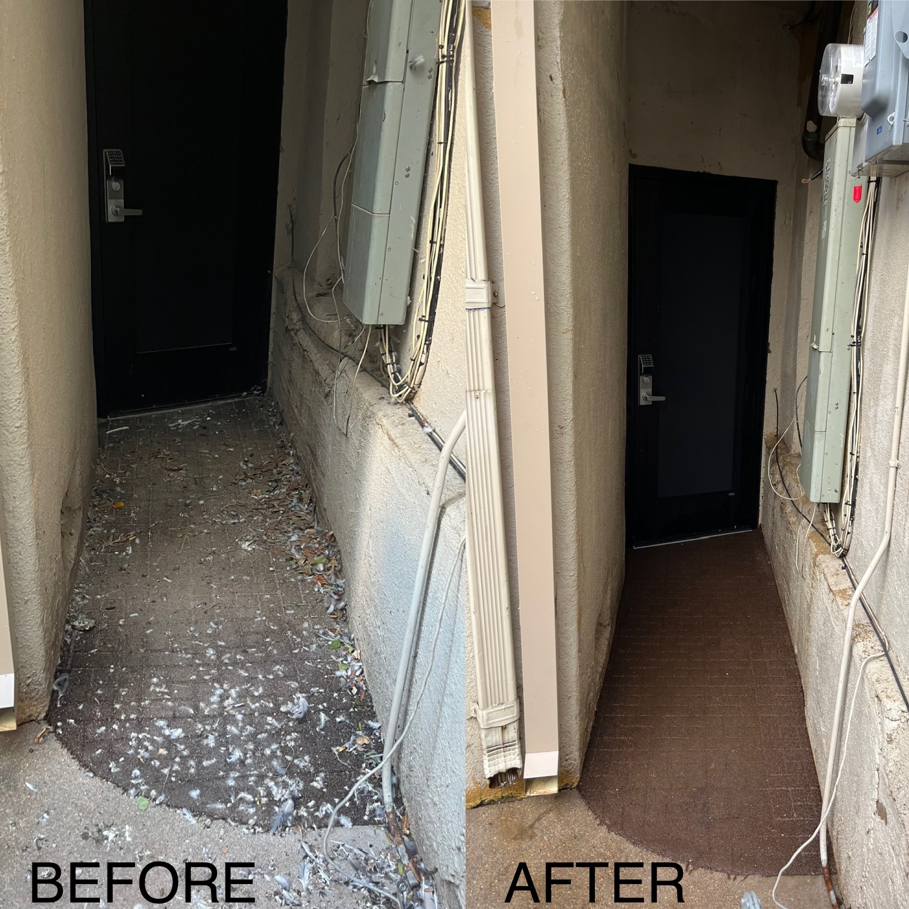 BUSINESS OWNERS' OFFICE ENTRANCE CLEANED UP IN GARDEN CITY 
