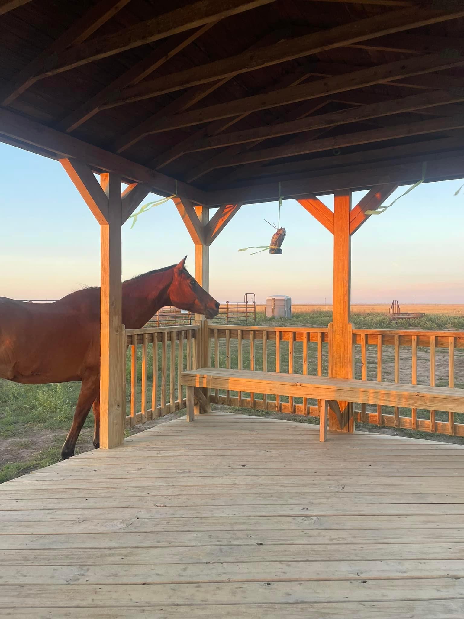 WOODEN GAZEBO CLEANING in Southwest Kansas